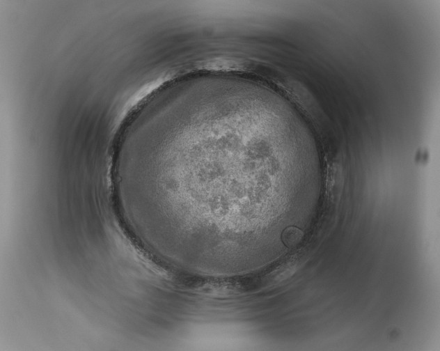 X0000113340727200909291029