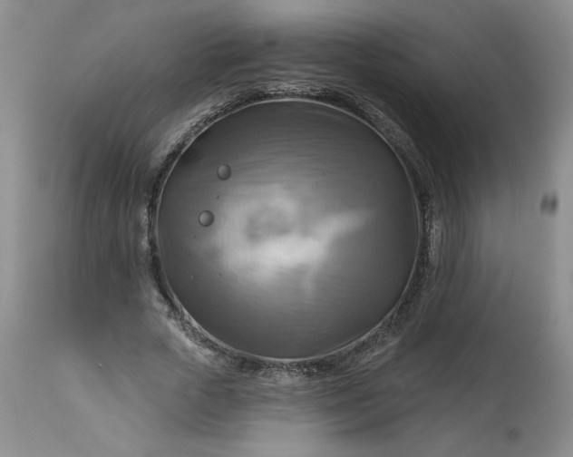 X0000113340729200909291029