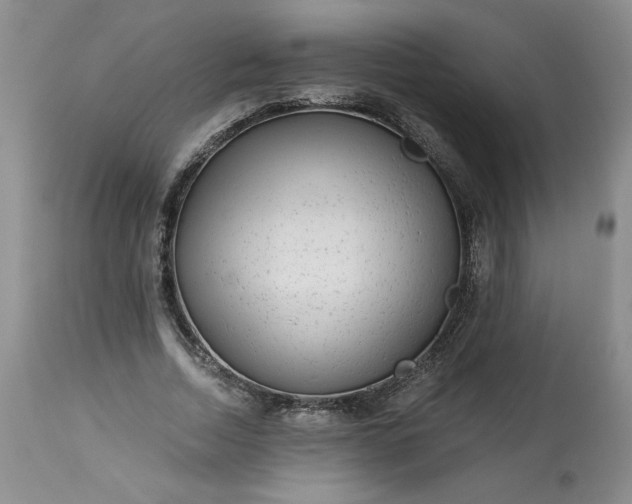 X0000113340730200909291029