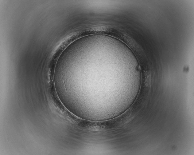 X0000113340731200909291029