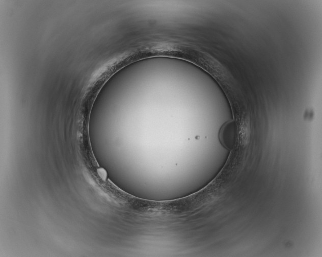 X0000113340732200909291029