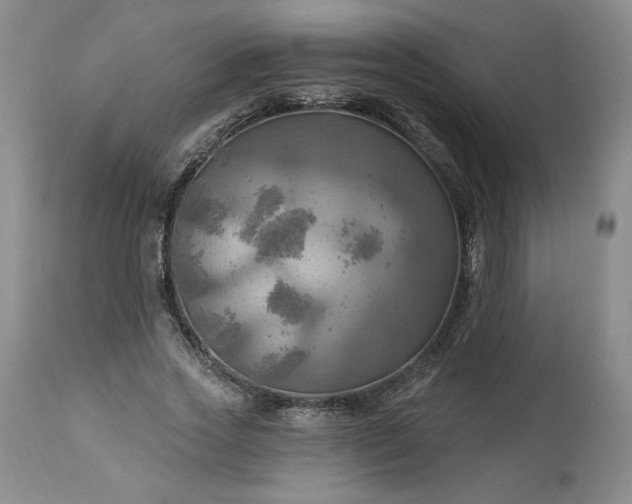 X0000113340733200909291029