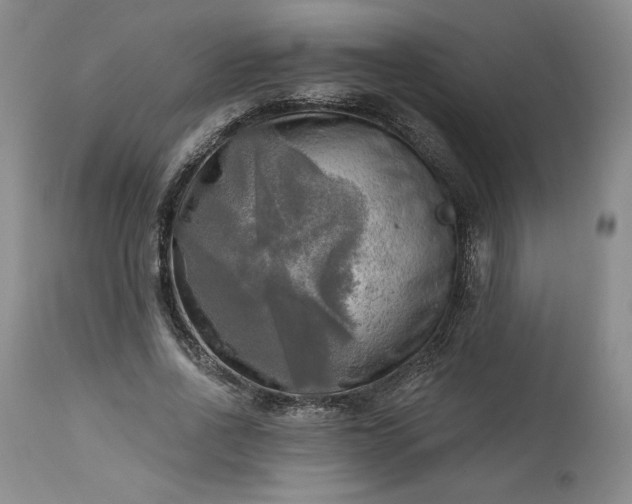 X0000113340734200909291029