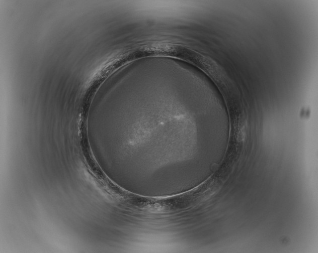 X0000113340735200909291029