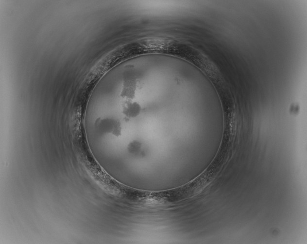 X0000113340737200909291029