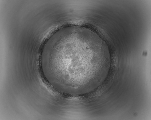 X0000113340738200909291029