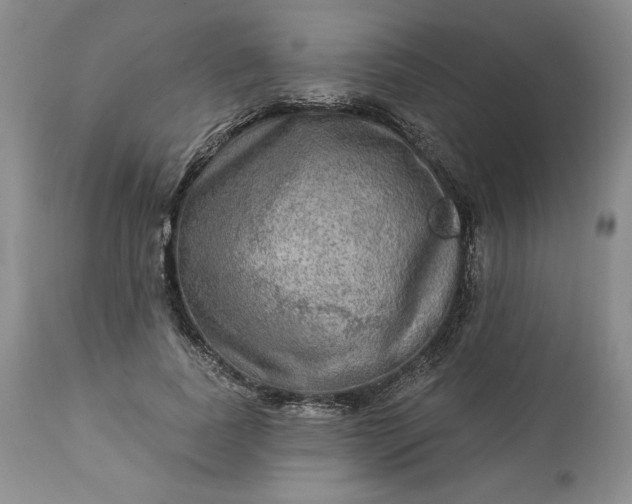 X0000113340739200909291029