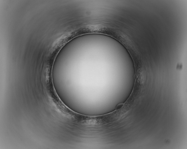 X0000113340740200909291029