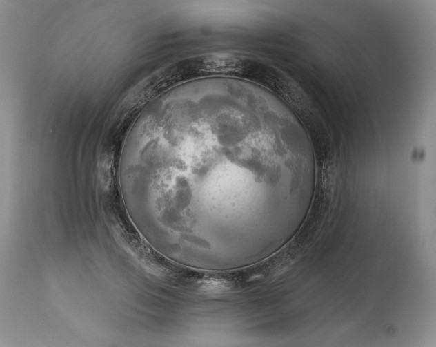 X0000113340741200909291029