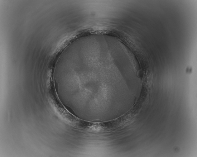 X0000113340742200909291029