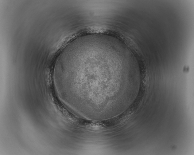 X0000113340743200909291029