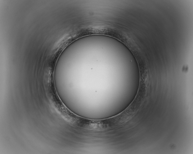 X0000113340744200909291029