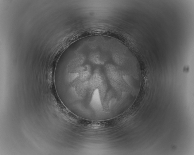 X0000113340745200909291029