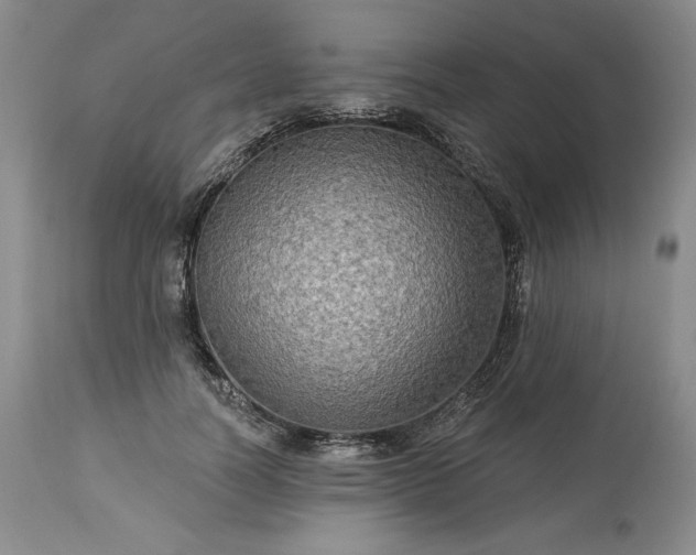 X0000113340746200909291029