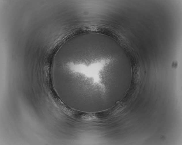 X0000113340747200909291029