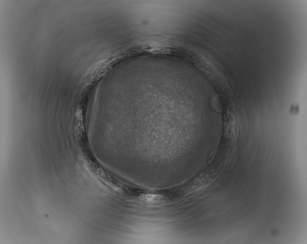 X0000113340748200909291029