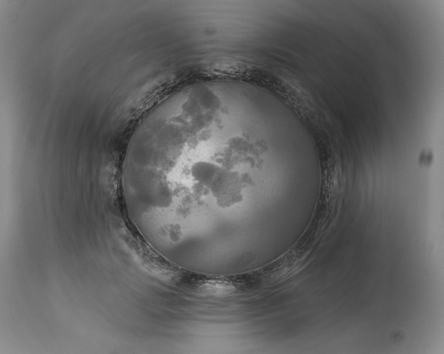 X0000113340749200909291029