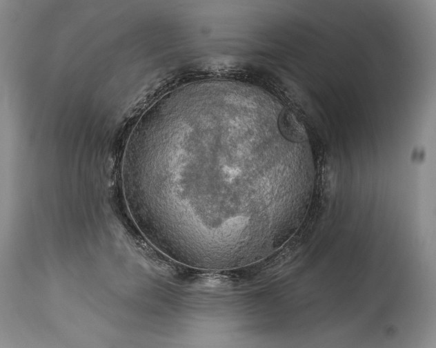 X0000113340750200909291029