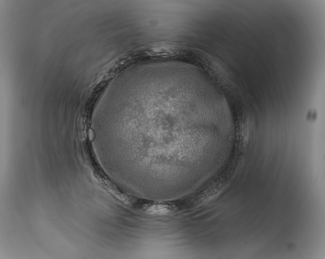 X0000113340751200909291029