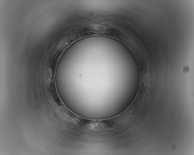 X0000113340752200909291029