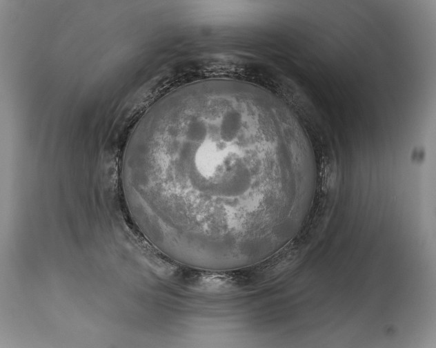 X0000113340753200909291029