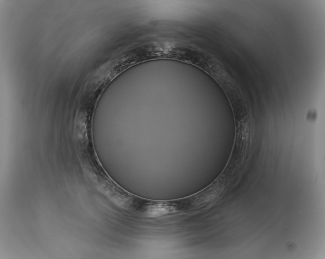 X0000113340754200909291029