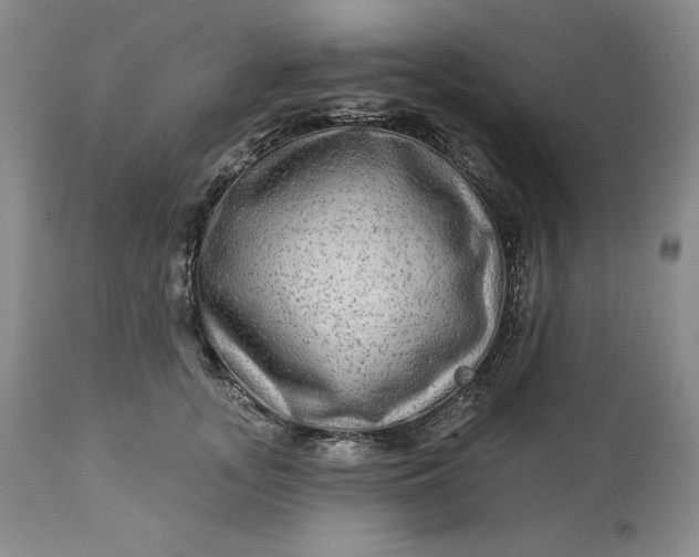 X0000113340755200909291030