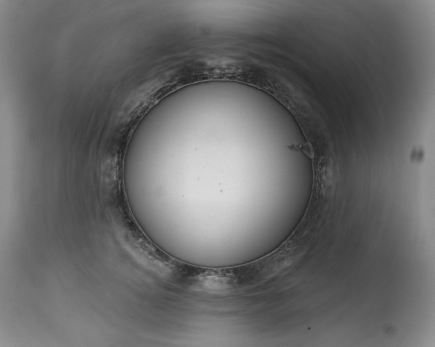 X0000113340756200909291030