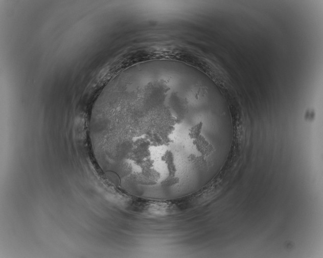 X0000113340757200909291030