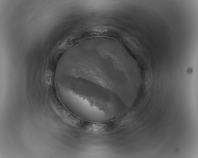 X0000113340758200909291030