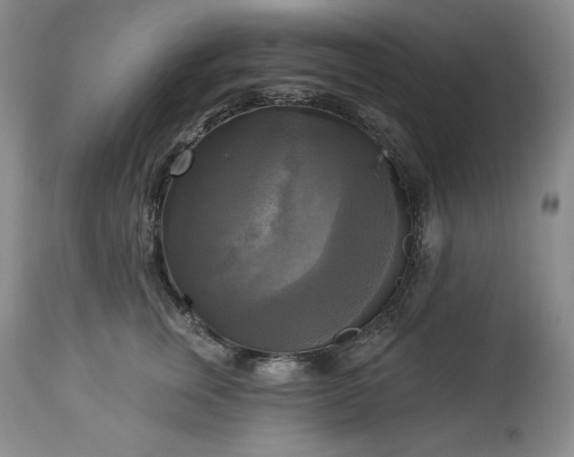 X0000113340759200909291030