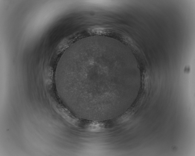 X0000113340760200909291030