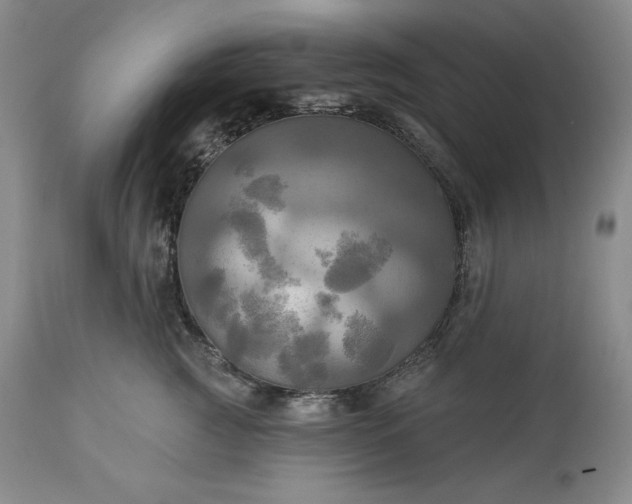 X0000113340761200909291030