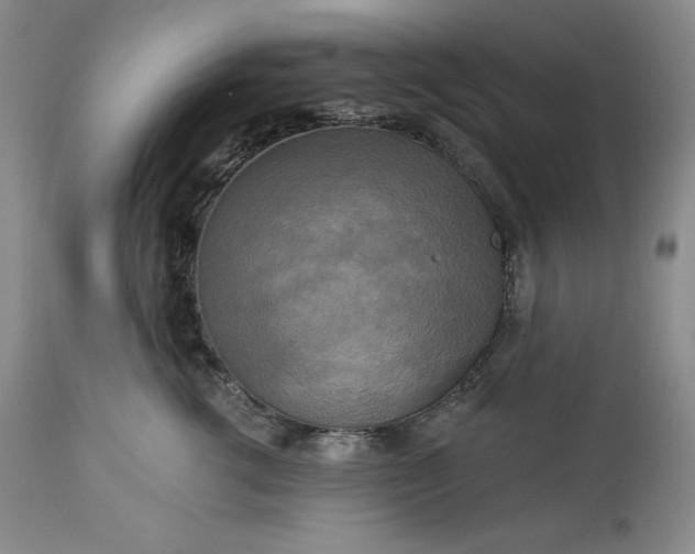 X0000113340762200909291030