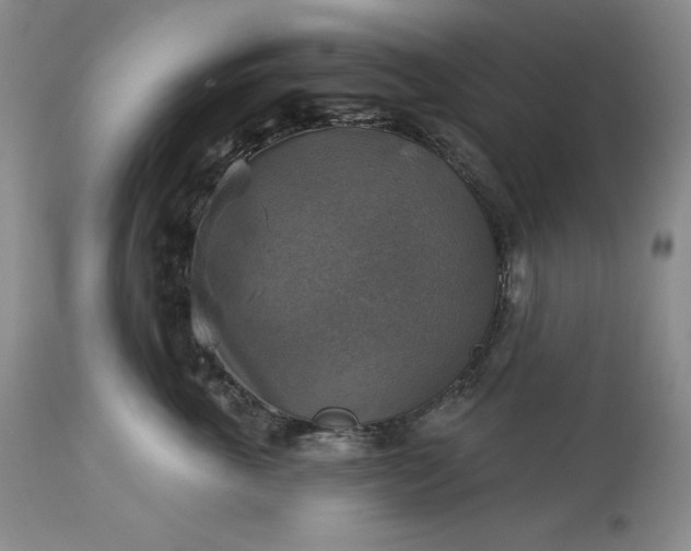 X0000113340763200909291030