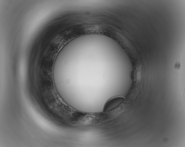 X0000113340764200909291030