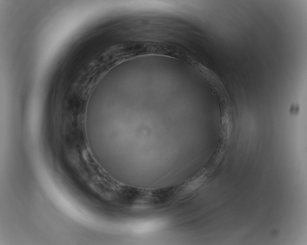 X0000113340765200909291030