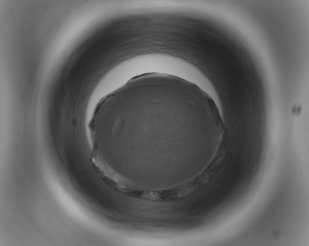 X0000113340766200909291030