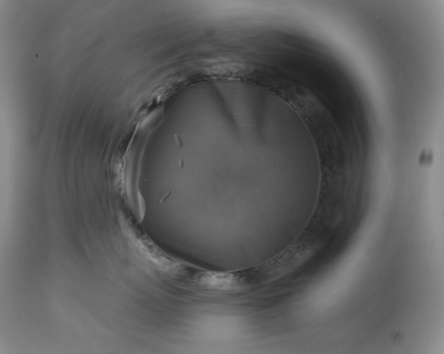 X0000113340767200909291030