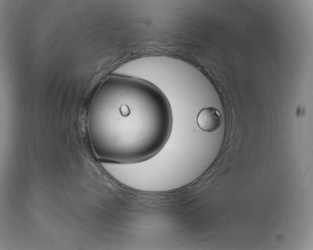 X0000113340768200909291030