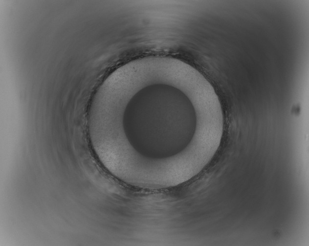 X0000113340769200909291029