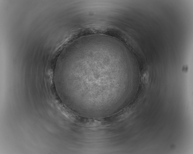 X0000113340772200909291029