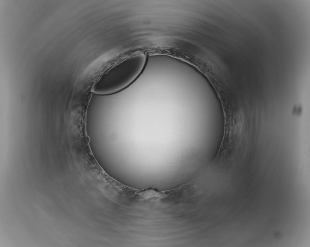 X0000113340773200909291029