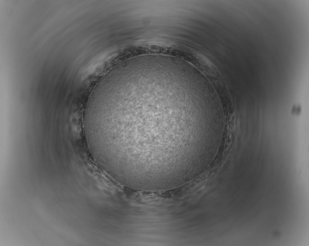 X0000113340774200909291029