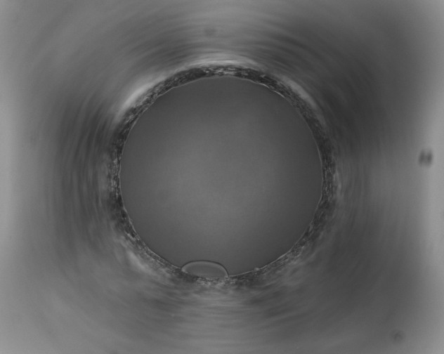 X0000113340775200909291029