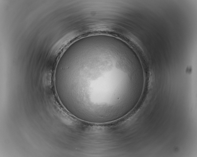 X0000113340777200909291029