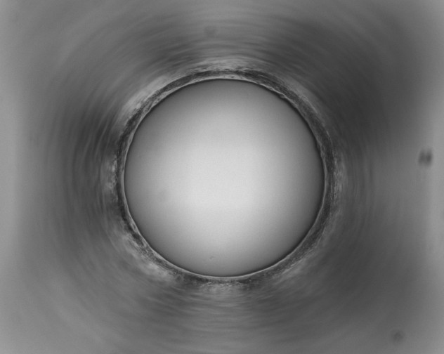 X0000113340778200909291029