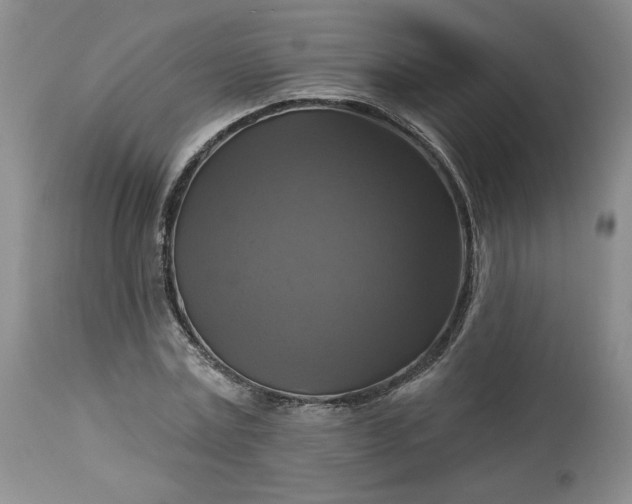 X0000113340779200909291029