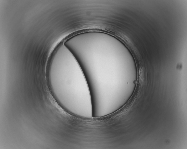 X0000113340780200909291029