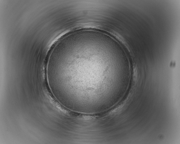 X0000113340782200909291028